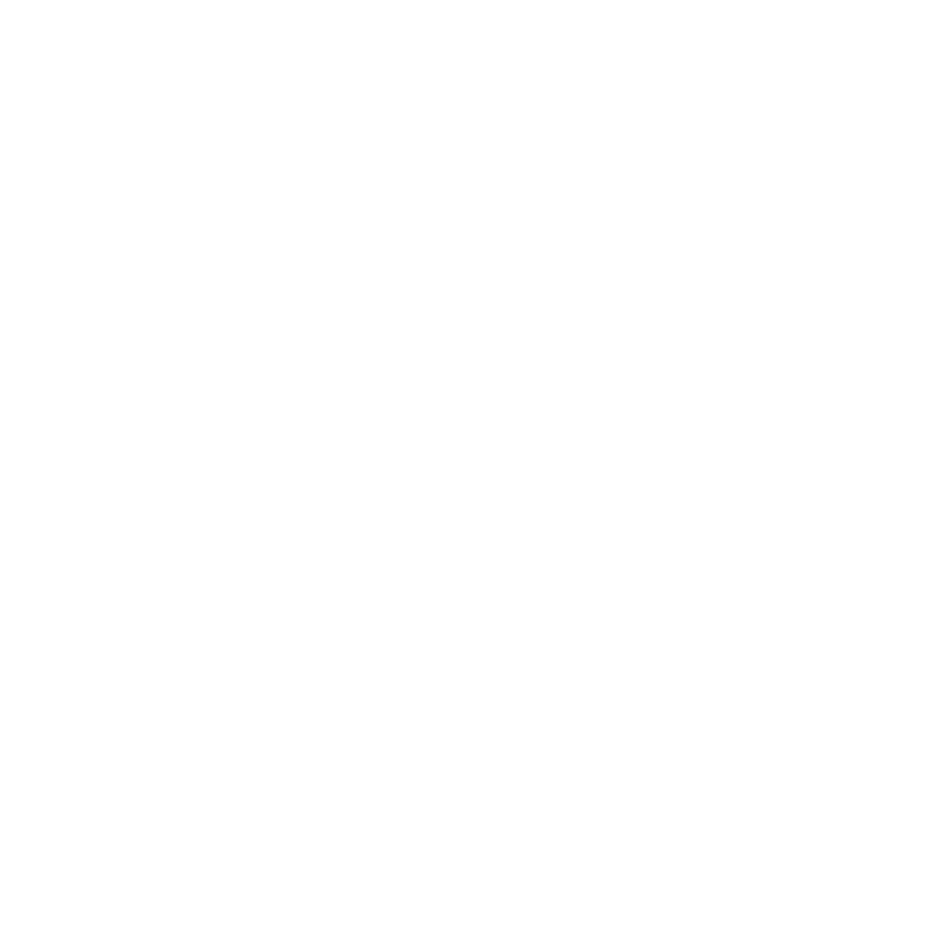 logo-veep-info